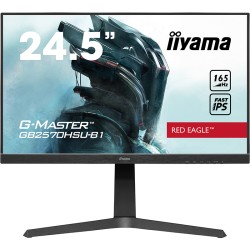 IIYAMA Monitor 24.5"...
