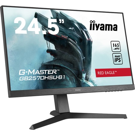 IIYAMA Monitor 24.5"...